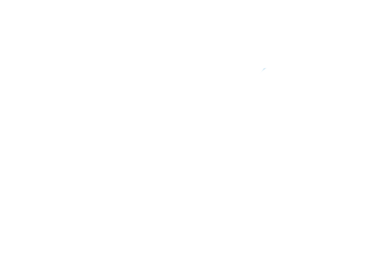 Google Partner